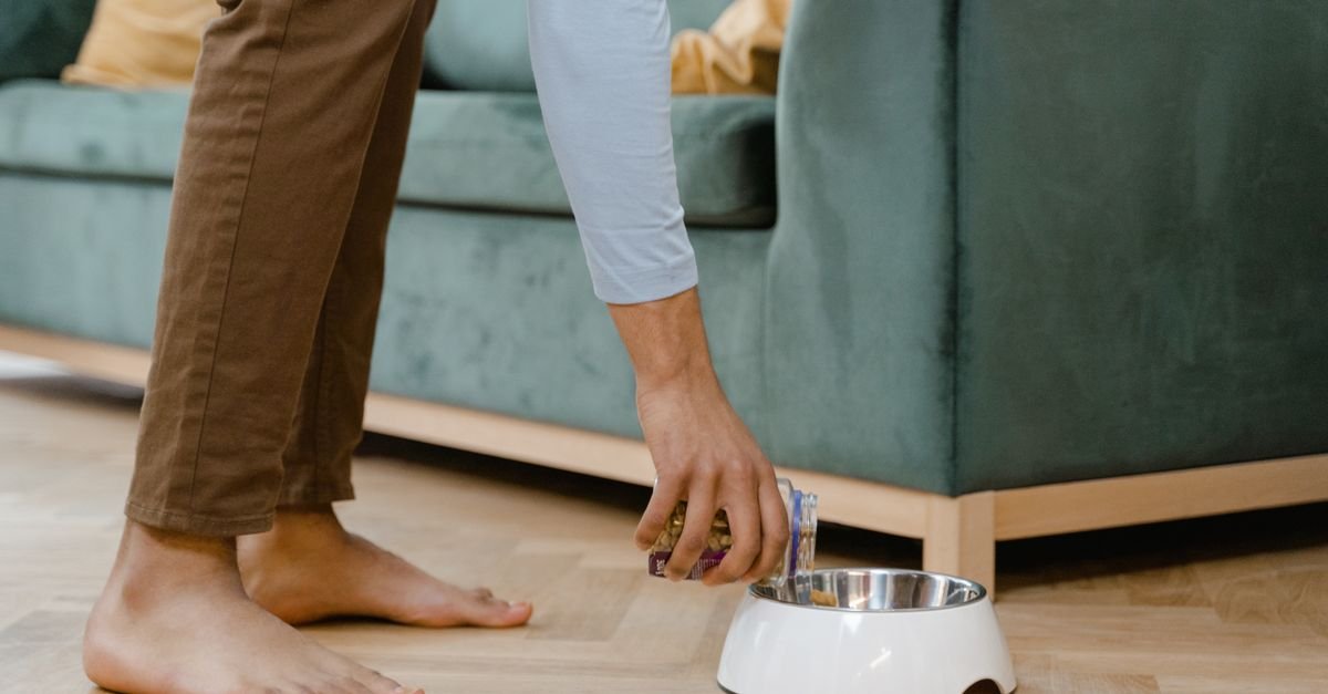 Pet food bowl and feeding area in a home