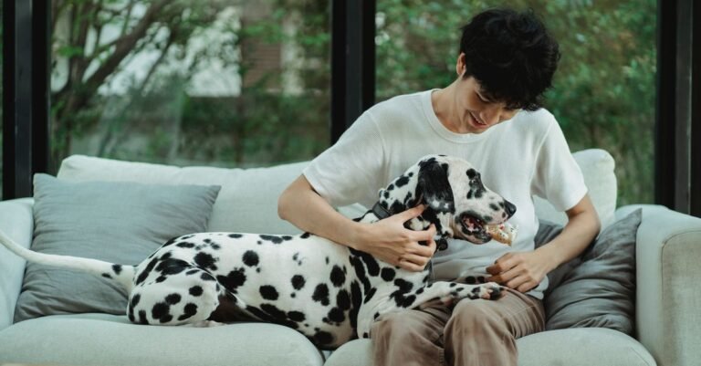 Pet relaxing at home in a living room