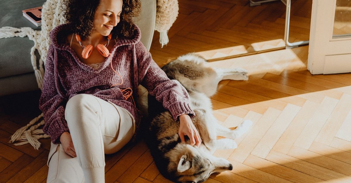 Pet hair and floor-cleaning context at home